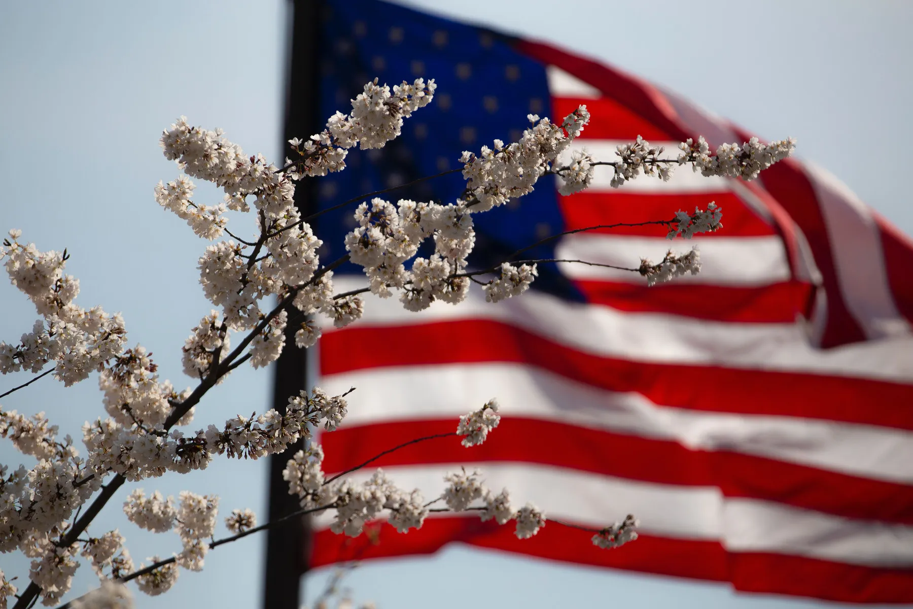 Let Freedom Ring